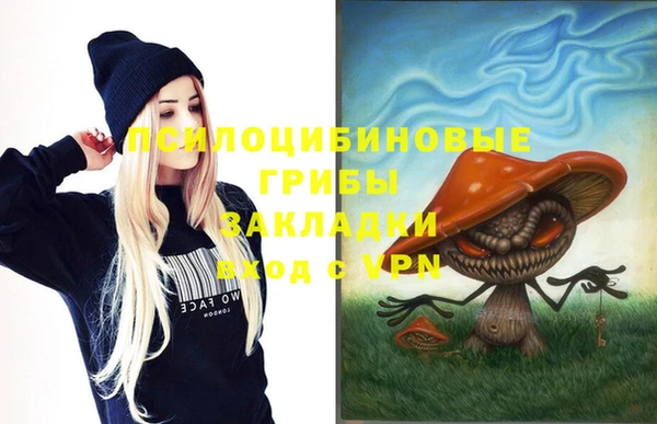 дживик Касимов