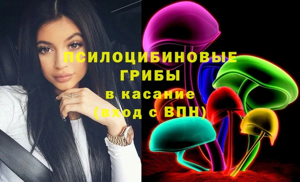 тгк Абаза