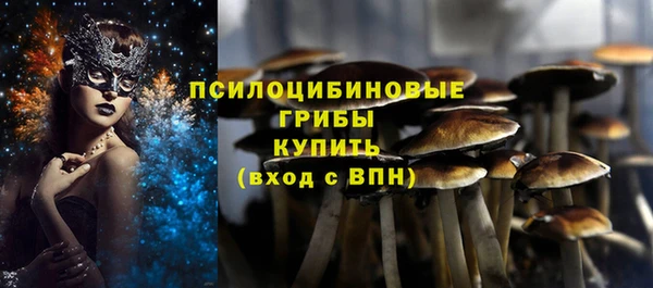 соль ск Медвежьегорск