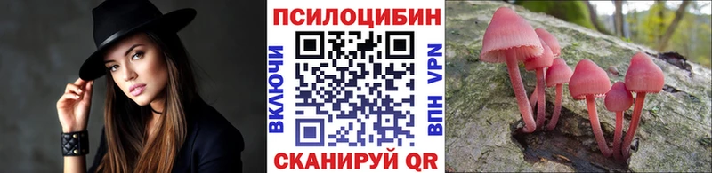 Псилоцибиновые грибы Cubensis  купить наркотик  Воронеж 